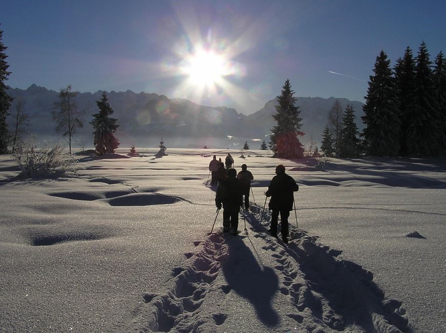 Geführte Schneeschuh-Erlebnistour 'Almengaudi'