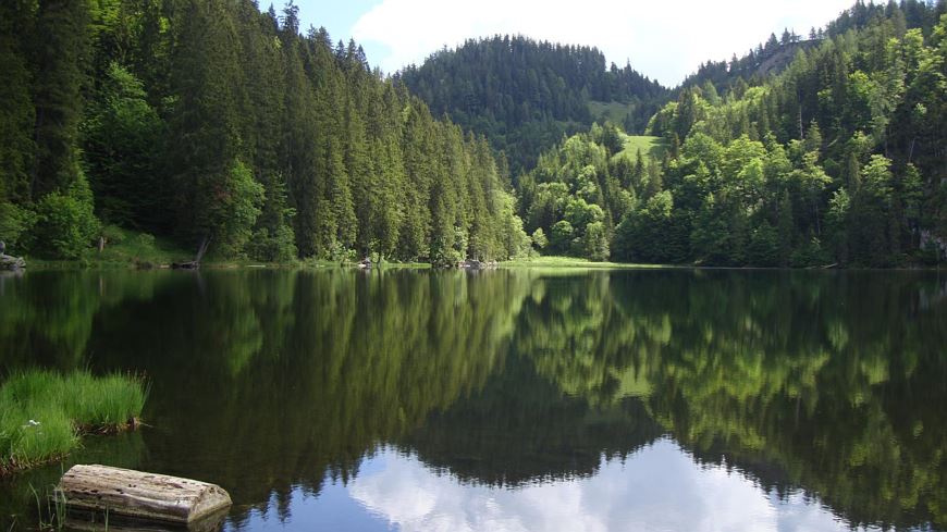 Geführte Wanderung zum Taubensee**