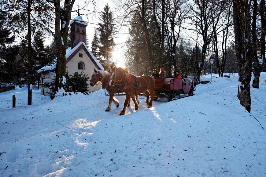 Horse-drawn carriage ride 